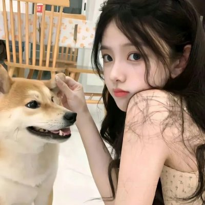 王国：北方的阿信